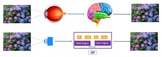 [2023-07-24] Empowering Intelligent IoT with 'True Black Light': Aixin Zhimou® AI-ISP Breaks Through Night Imaging Limitations